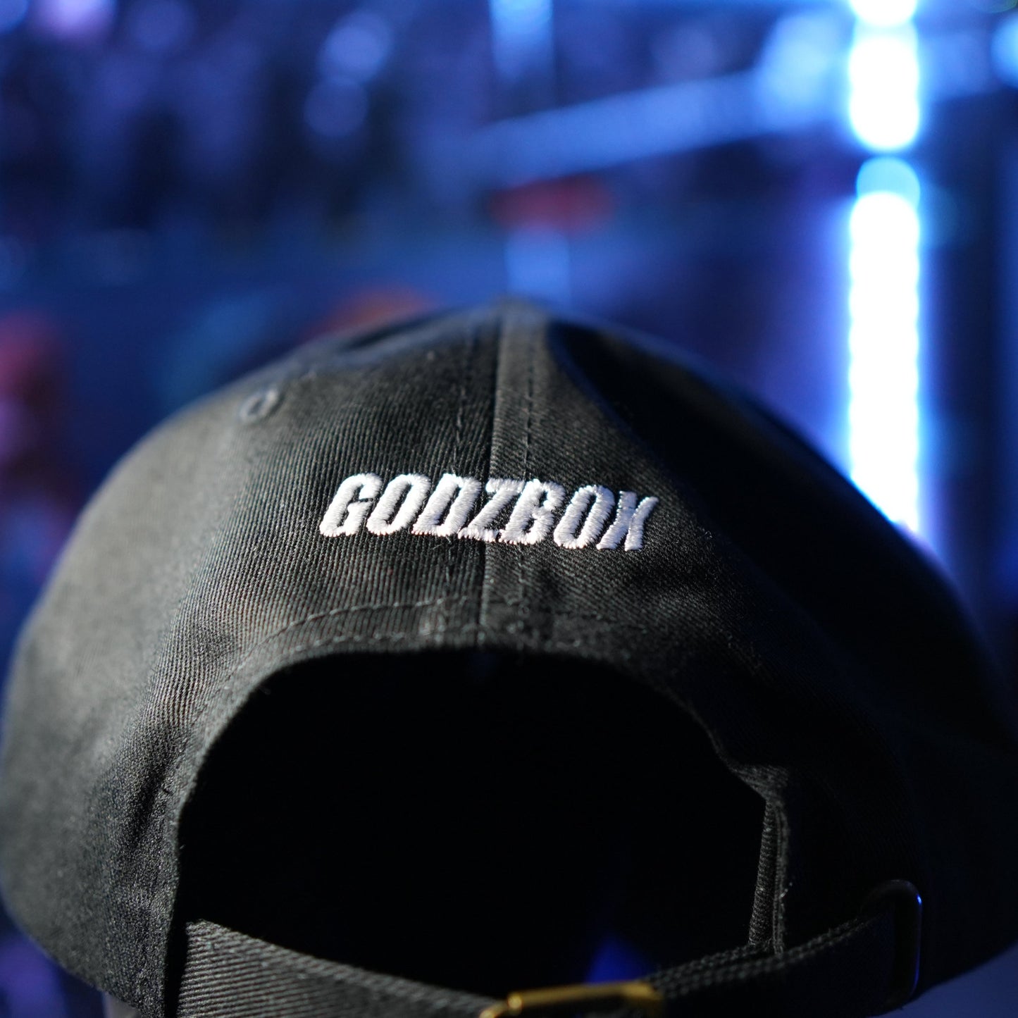 GODZBOX LOGO Dad hat